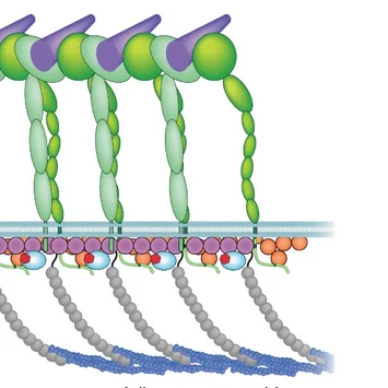 @Nature Materials, https://rdcu.be/b0C7R