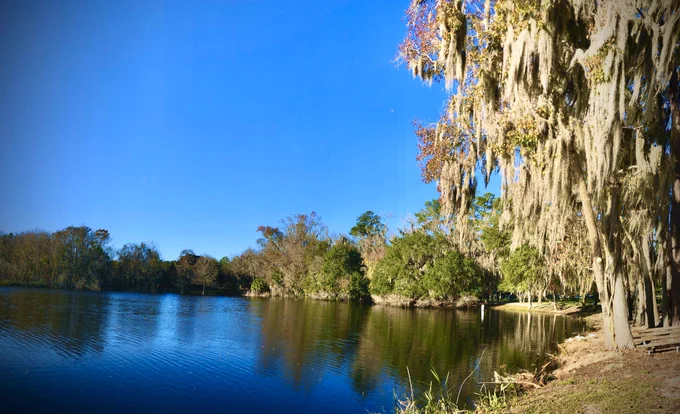 Lake Alice with live oak and Spanish moss