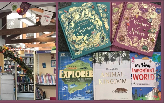 The Wonders of Nature display at Storrington Library