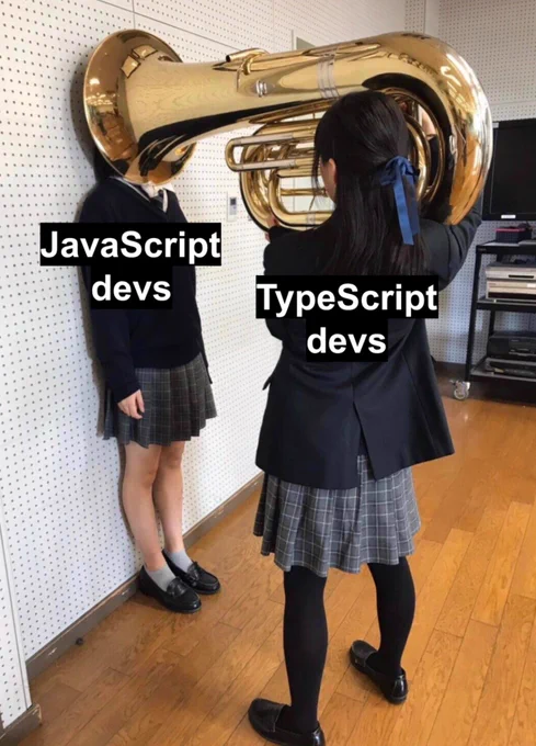 Person standing with their back to a wall with face in a tuba: JavaScript devs

Person playing the tuba: TypeScript devs