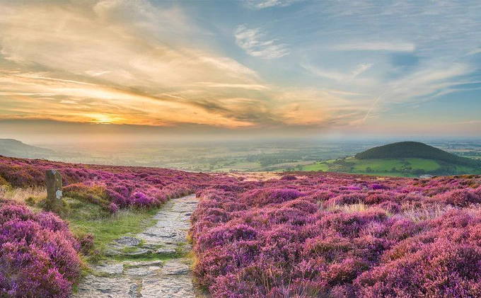 📸 Cleveland Way National Trail, near Whorl Hill (c) Thomas Heaton