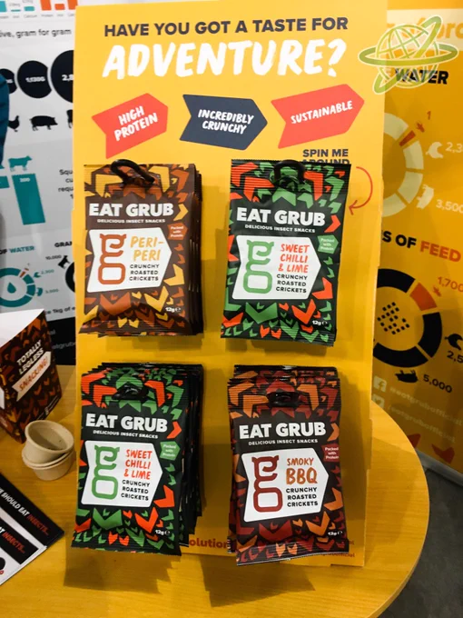 Insect Based Snacks