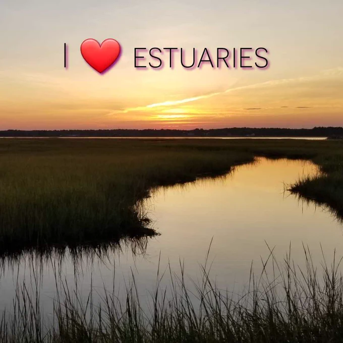 Image of sunset with marsh grass and water in the foreground.
