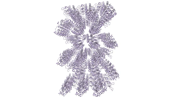 Die Supercell die mehrere Einheiten der Unitcell enthält.