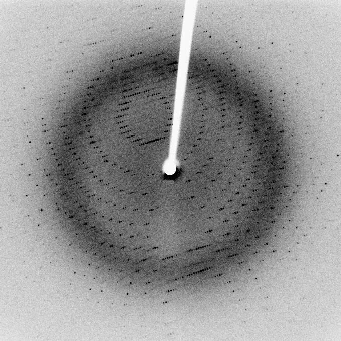 Diffraktionsmuster eines proteins nach bestrahlung mit Röntgenstrahlung.