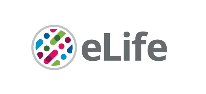 The new eLife logo