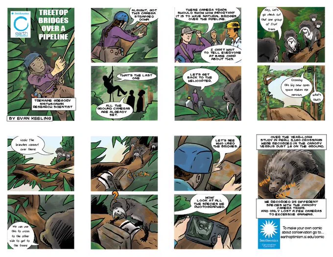 Image of comic with title “Treetop Bridges Over a Pipeline”