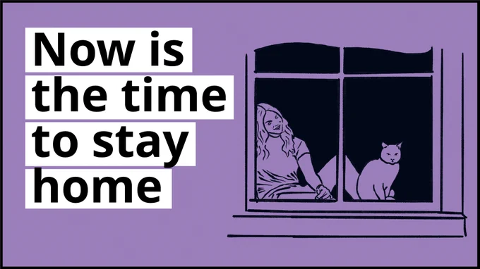 Woman looking out window, beside a cat. Text saying "Now is the time to stay home"