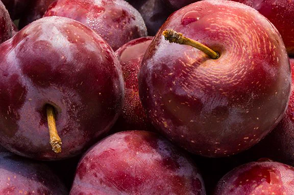 Fresh purple ripe plums with stems.