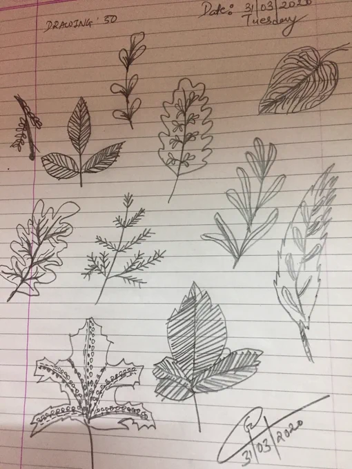LEAVES 🍁 