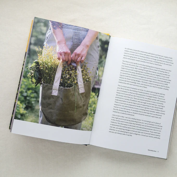 Excerpt from PLANT MAGIC