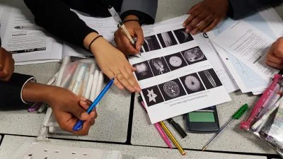 Students learning about brains