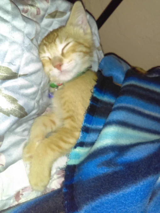 Después de su primer baño 