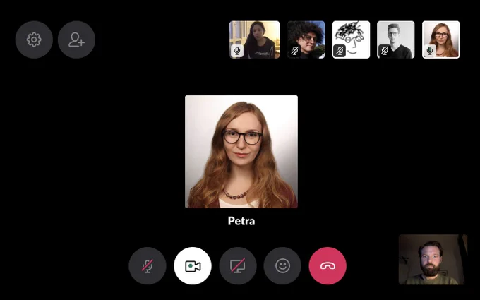 Video call for the introduction round of the meetup.