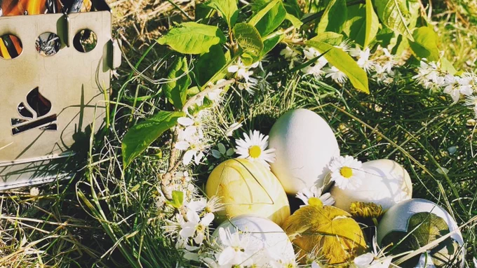 Dying Easter eggs on the Bushbox is great fun for the whole family!