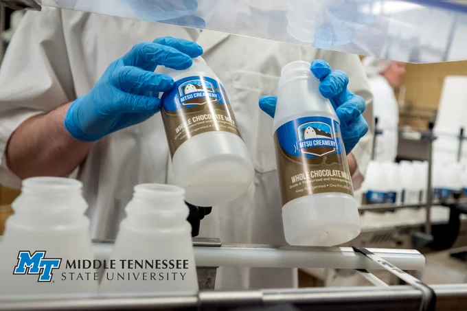 Scott Ayers loads plastic pint bottles with the new MTSU Creamery label onto a conveyor April 29 to be filled with fresh chocolate milk from the MTSU Dairy and Experiential Learning and Research Center in Lascassas, Tenn. The creamery has a new labeling machine for more efficient processing.  (MTSU photo by J. Intintoli)