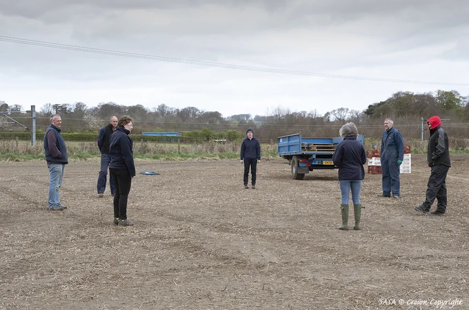 Observing social distancing whilst planting potatoes