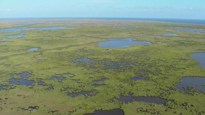 Mississippi river delta