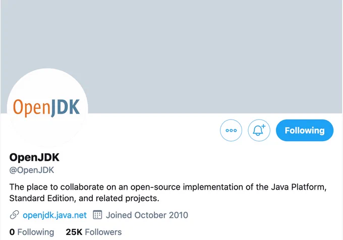 Screenshot image of the @OpenJDK Twitter profile page offering a link to the OpenJDK project at https://openjdk.java.net