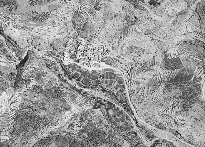 1956