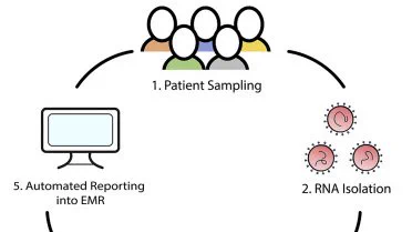 Rapid Implementation of a SARS-CoV-2 Diagnostic qRT-PCR Test with Emergency Use Authorization at a Large Academic Safety-Net Hospital