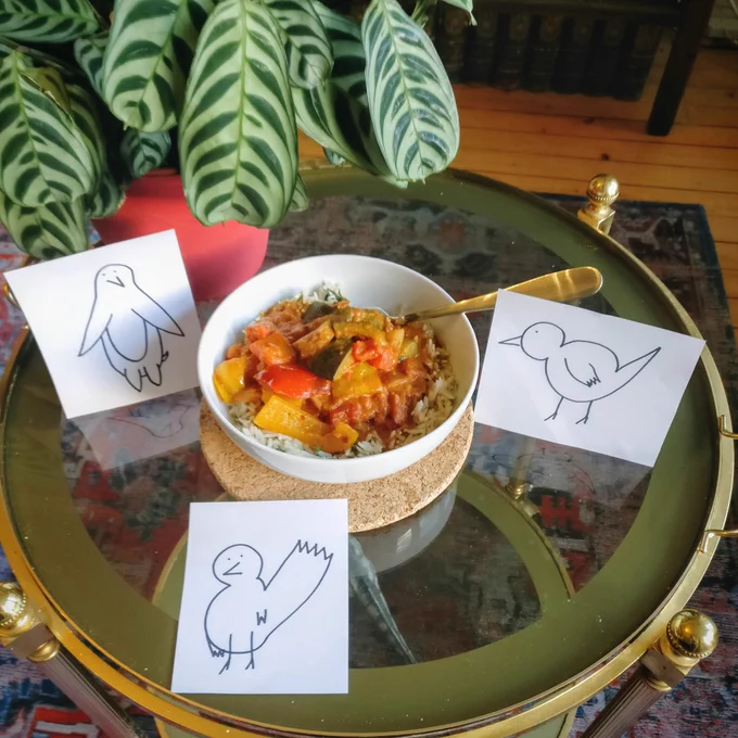 Bowl of curry on a cart flanked by a houseplant and three bad drawings of birds