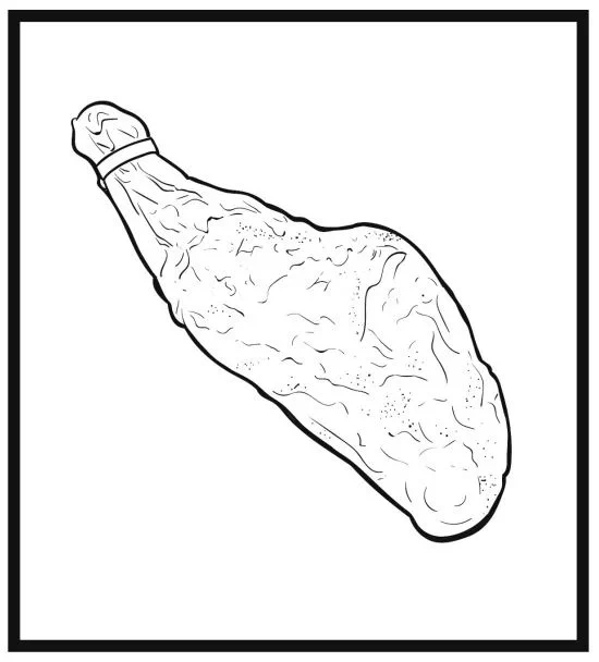 A coloring page of the World's Oldest Ham, created by the Virtual Curation Lab at VCU.