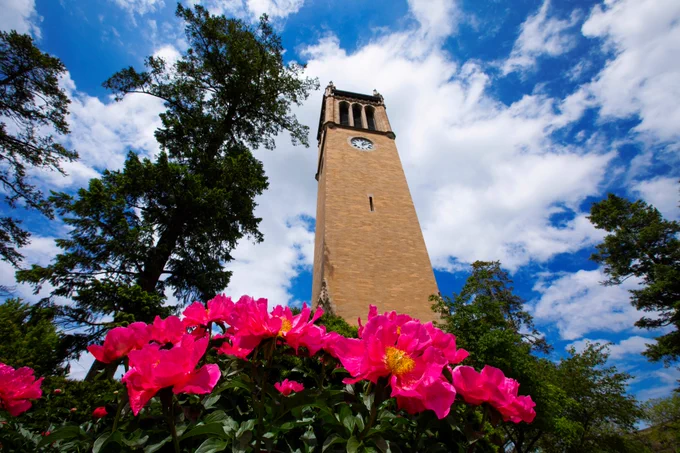 Looking up at blue skies and white clouds from the base of the campanile, with a pop of pink blooming flowers.