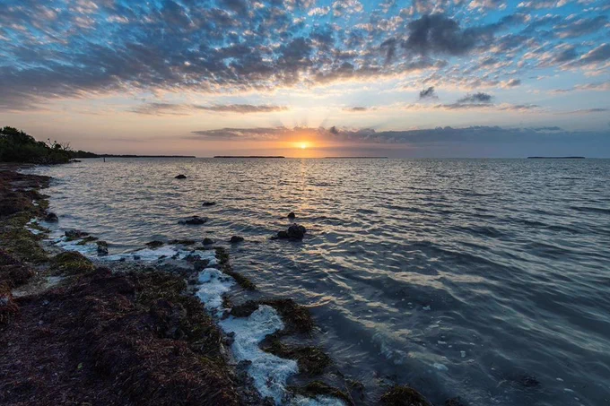 ‪The sun rises over the ocean and distant mangrove islands in Florida Bay. The seaweed-filled shoreline is visible on the left-hand side of the image.‬