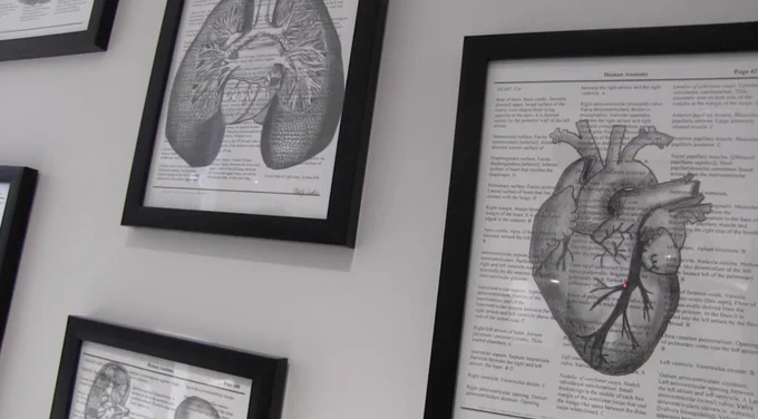 Two frames hanging on a wall: one has an anatomical heart, and one has an anatomical pair of lungs. Both are drawn in charcoal on a textbook page and framed in a black frame.