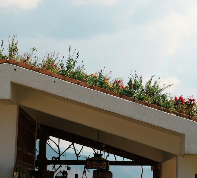 Floral_Green_Roof