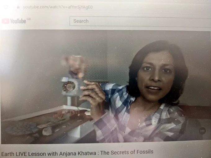 Photo of laptop screen with Anjana showing an ammonite fossil