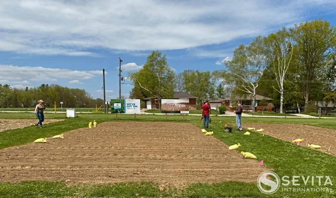 Sevita employees planting soybean plot in Woodstock, Ontario