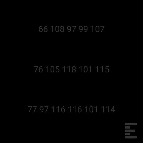 Black Lives Matter written in ASCII