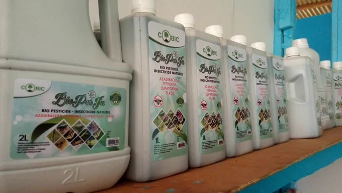 Biofertilisant de qualité supérieure disponible au Cameroun