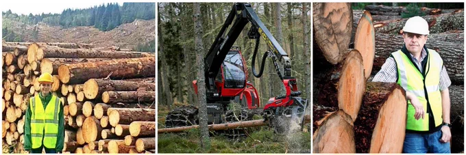 Photo of male and female foresters standing next to stack of timber in a forest and photo of a timber harvesting machine.