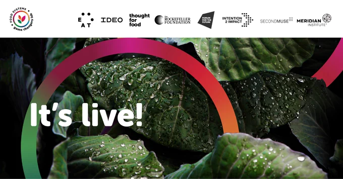 It’s live! [Lush leaves dripping with moisture. Logos of EAT, IDEO, Thought for Food, Rockefeller Foundation, Forum for the Future, Intention2Impact, SecondMuse, & Meridian Institute]