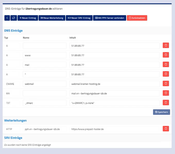 DNS Management Screenshot. Zu sehen: Unterschiedliche DNS-Einträge