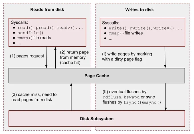 Linux Page Cache and reads and writes operations. All o them go through the Page Cache.