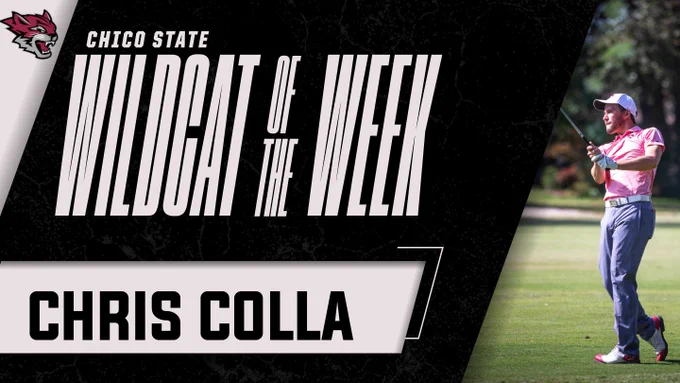 An infographic celebrating Chris Colla earning Wildcat of the Week honors and a Chico State logo.
