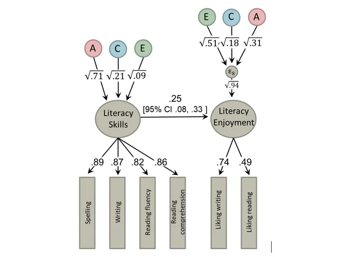 Influences: A=genetic (i.e., heritability); C=shared-environment (e.g. family & school); E=non-shared environment (e.g. own friends, accident)   measurement error