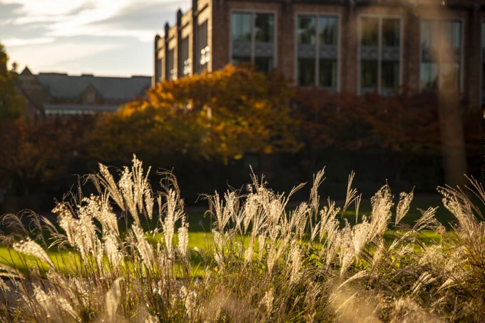 Campus fall 2020