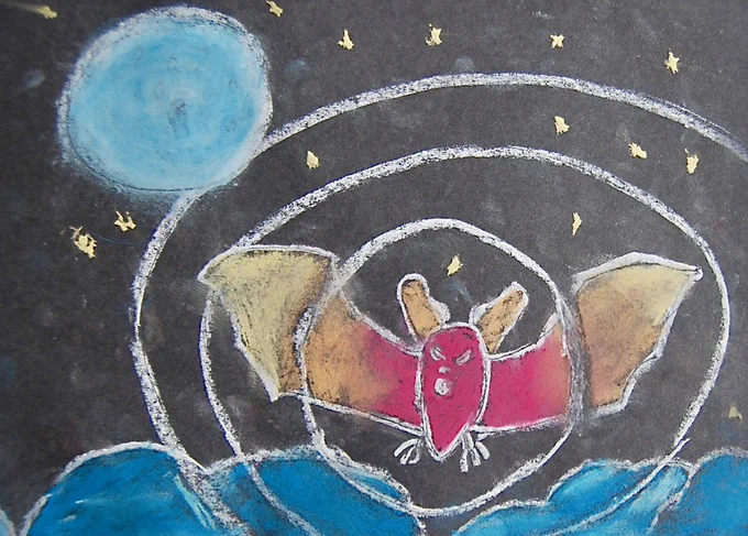 'Image of an Irish bat' by: Sean Gallagher (age 11)