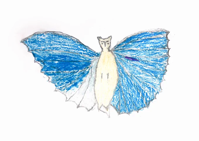 'Madagascar flying fox' by: Doatsite (age 9)