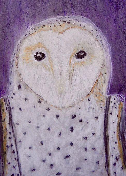 'Midnight Barn Owl' by: Anika Otsu (age 10)