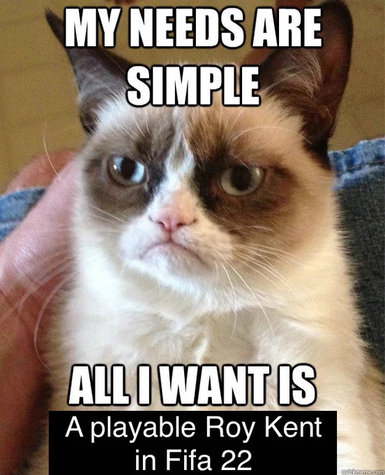 An image of Grumpy Cat with overlain text saying “My needs are simple. All I want is a playable Roy Kent in Fifa 22”.