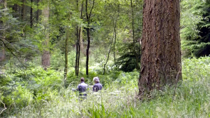 a woodland owner and advisor in a woodland
