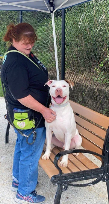 Pepe sitting upright on a park bench as a woman stands near him. His ears are cocked and he is smiling.