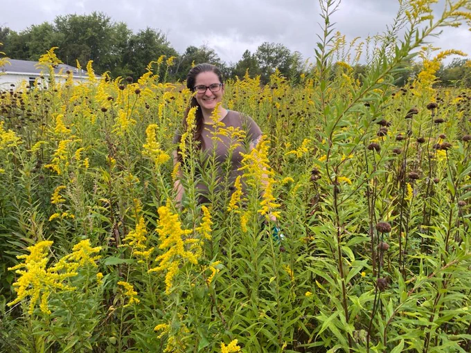 Field Center GA Alex standing next to goldenrods taller than she is