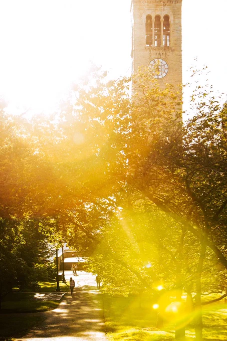 Sunlight streams onto a pathway leading up to McGraw Tower as students walk to class